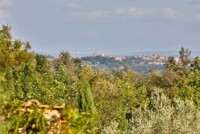 RIF 3070 Blick auf Siena