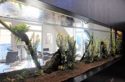 Eingabautes Aquarium