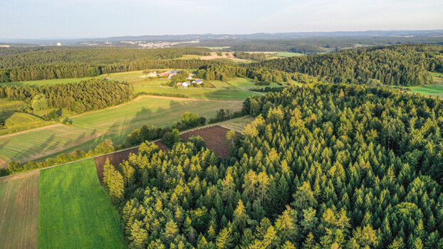 Forestry land with shooting estate, approx. 96 ha