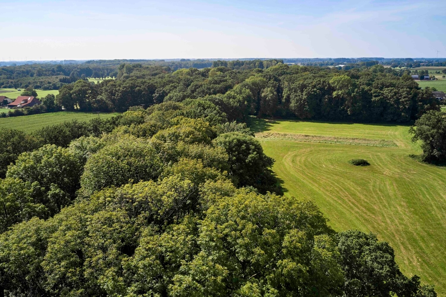 Arable and forest land in NRW, approx. 196 ha
