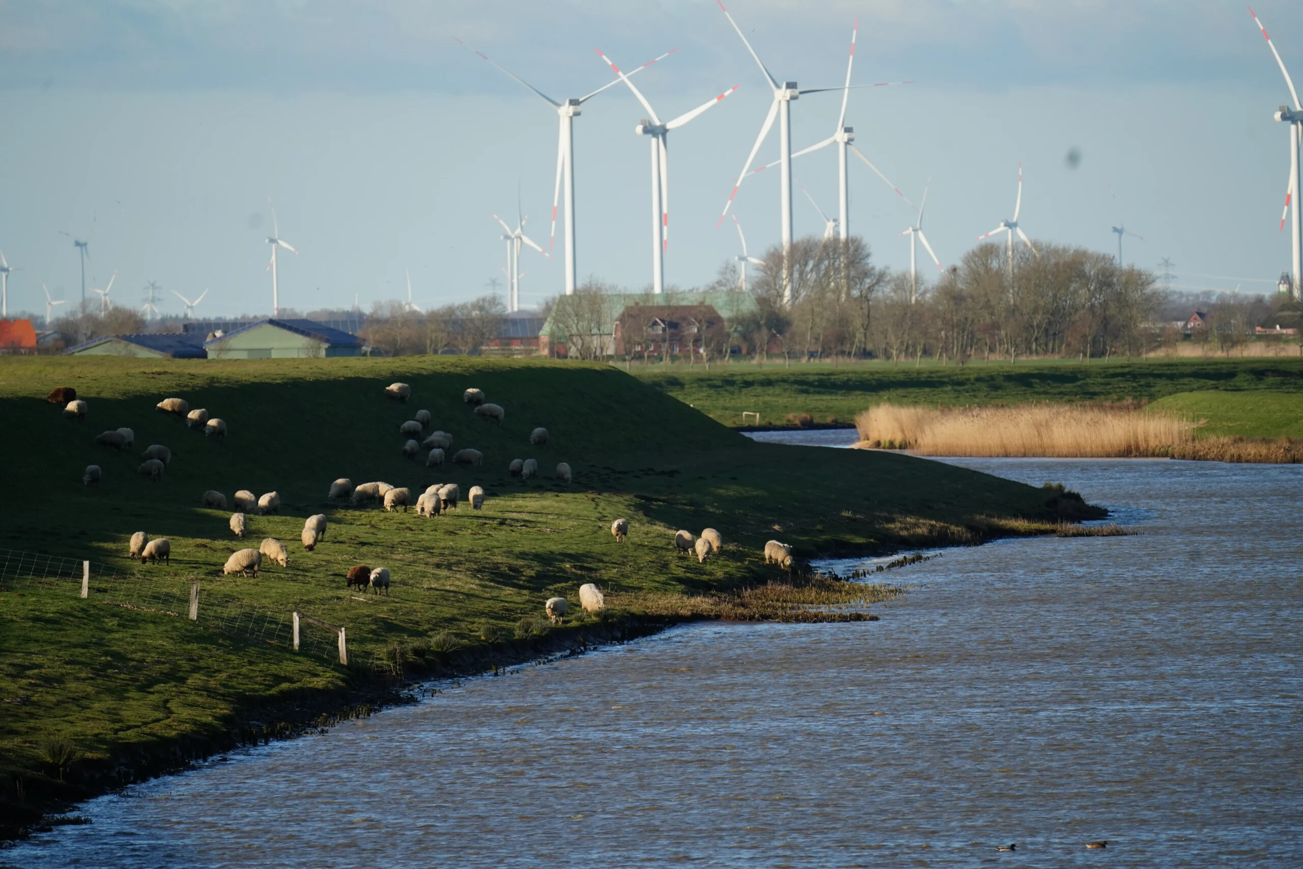 Immobilienmakler Niebüll in Nordfriesland – Küstenwert Immobilien an der Westküste