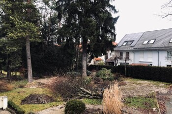 Heruntergefallene Äste im Garten, hohe Bäume, Haus mit Sonnenkollektoren.