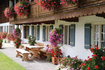 Holzbänke, Tische, weißes Haus mit blauen Läden, Blumen.