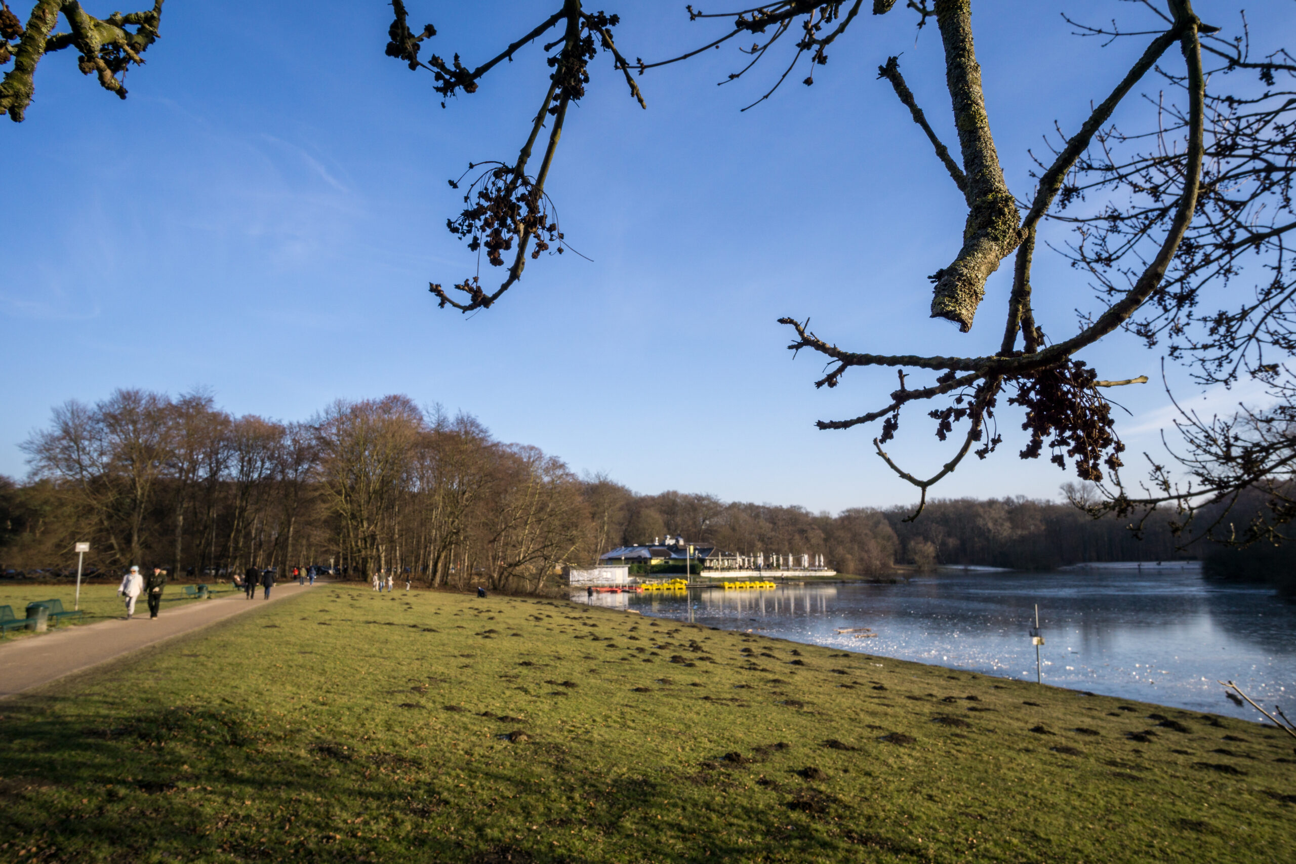 Decksteiner Weiher im Winter