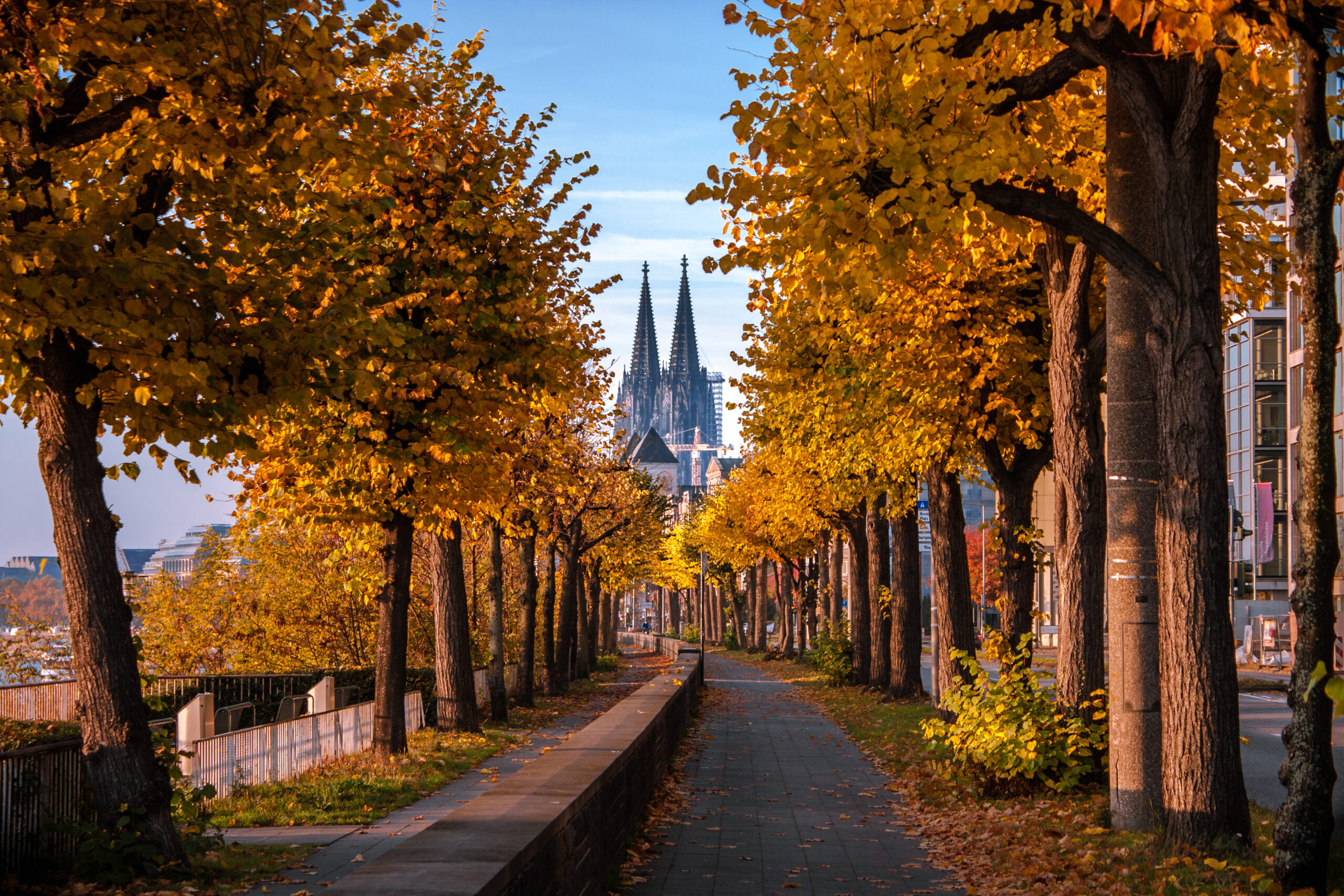 Kölner Dom im Herbst