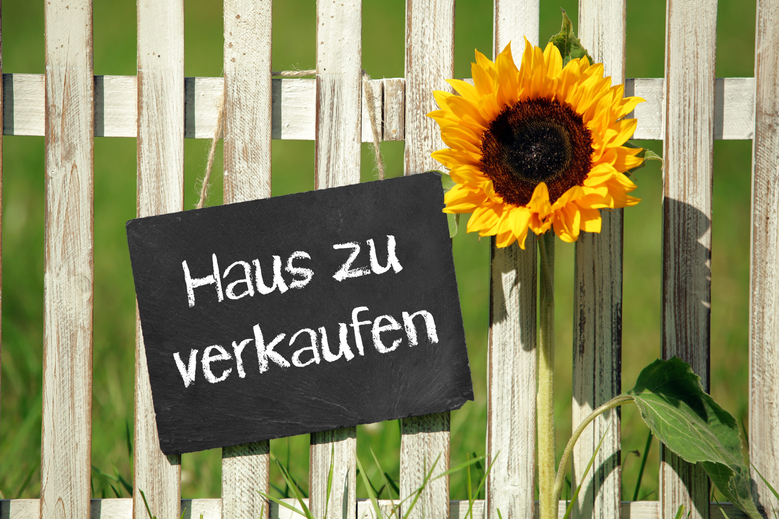 An einem Zaun hängt ein Schild mit der Aufschrift "Haus zu verkaufen", daneben eine Sonnenblume