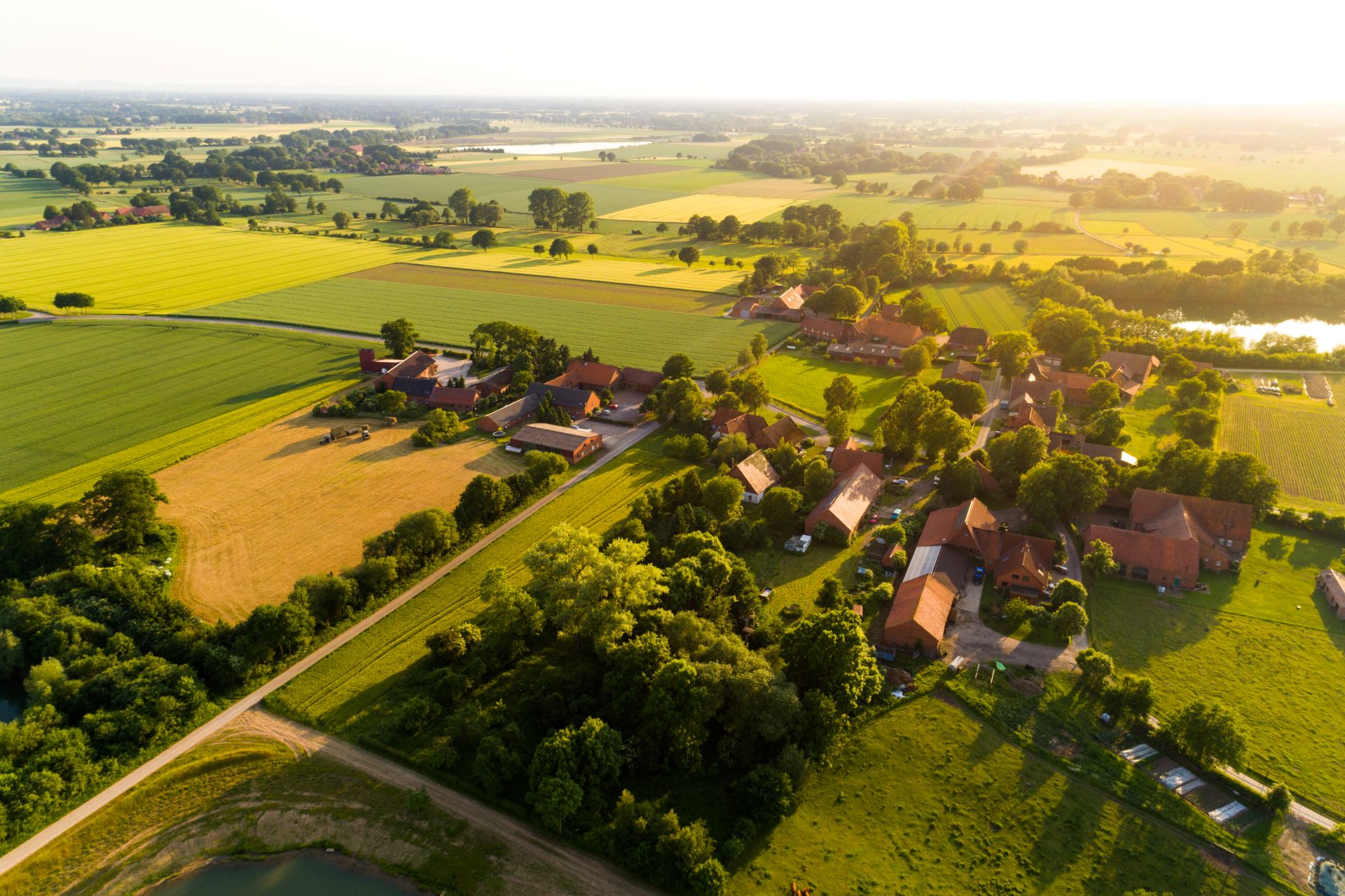 Dorf mit Feldern, Bäumen und roten Dächern bei Sonnenschein.
