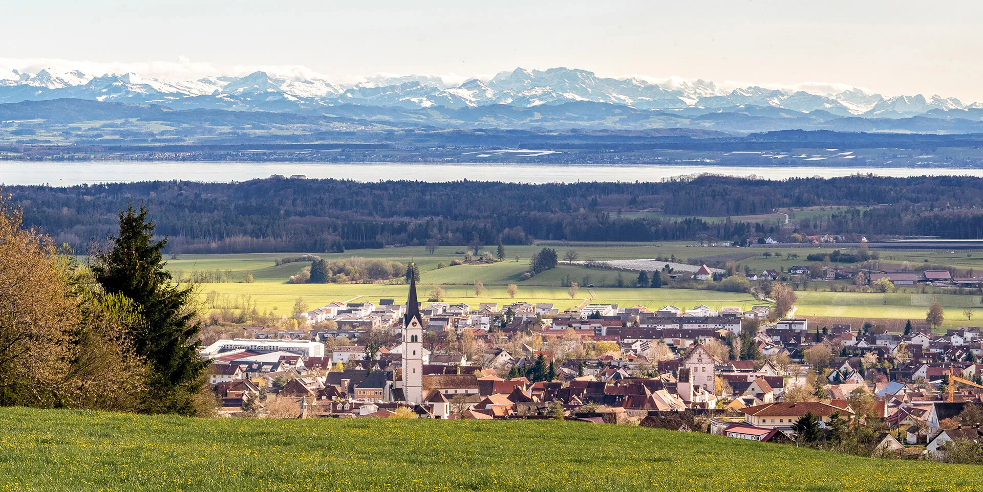 Immobilienmakler in Markdorf