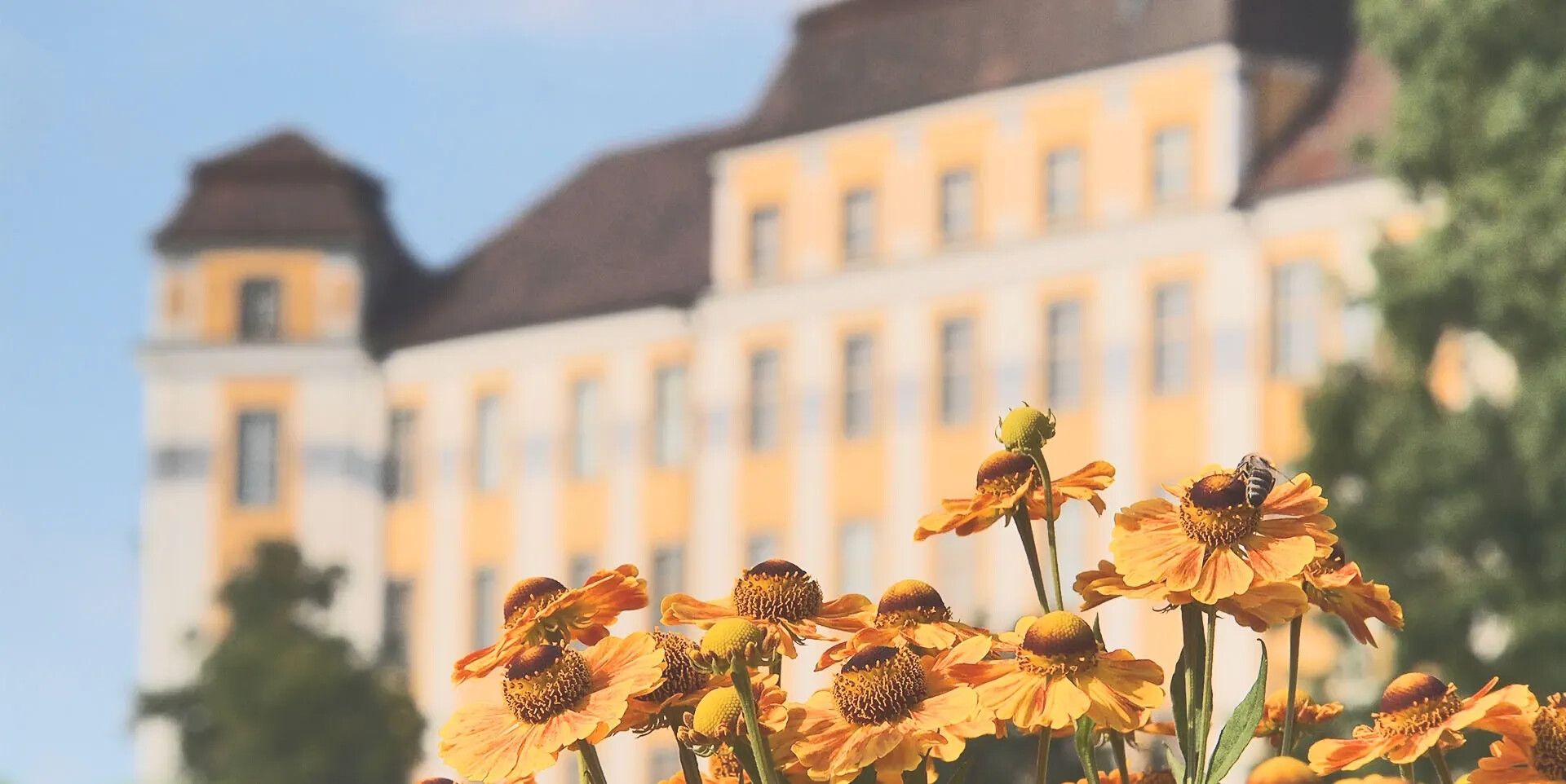 Immobilienmakler für Tettnang