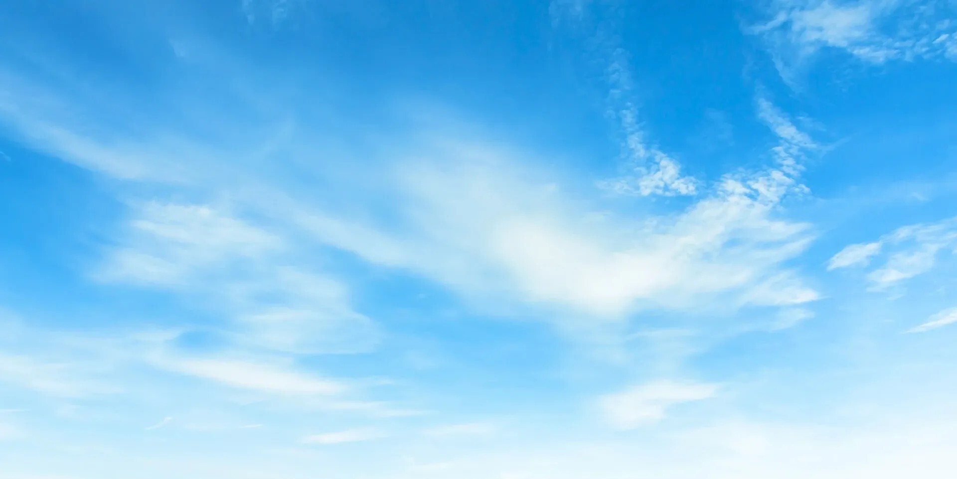 Immobilienmakler in Riedhausen