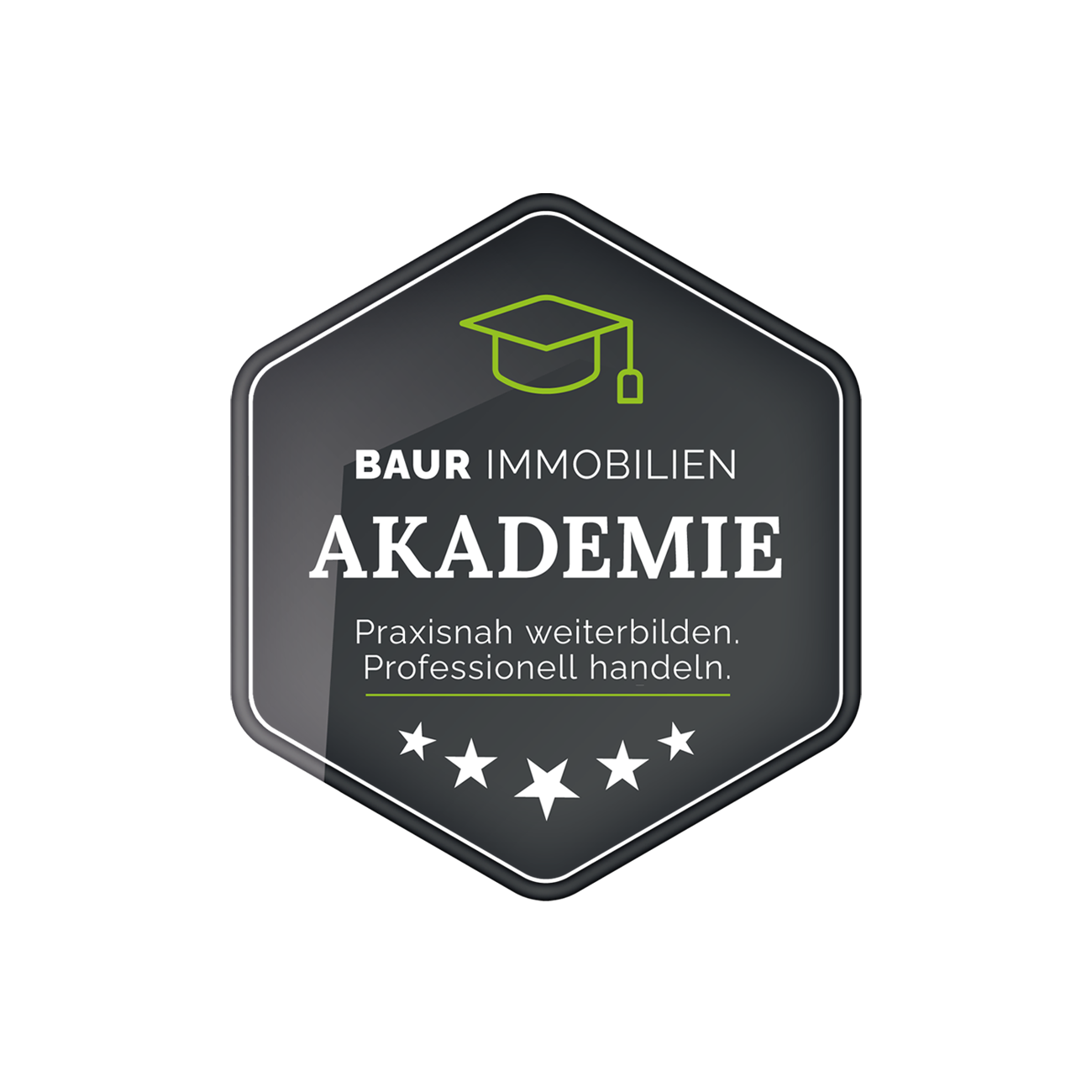 BAUR Akademie Logo