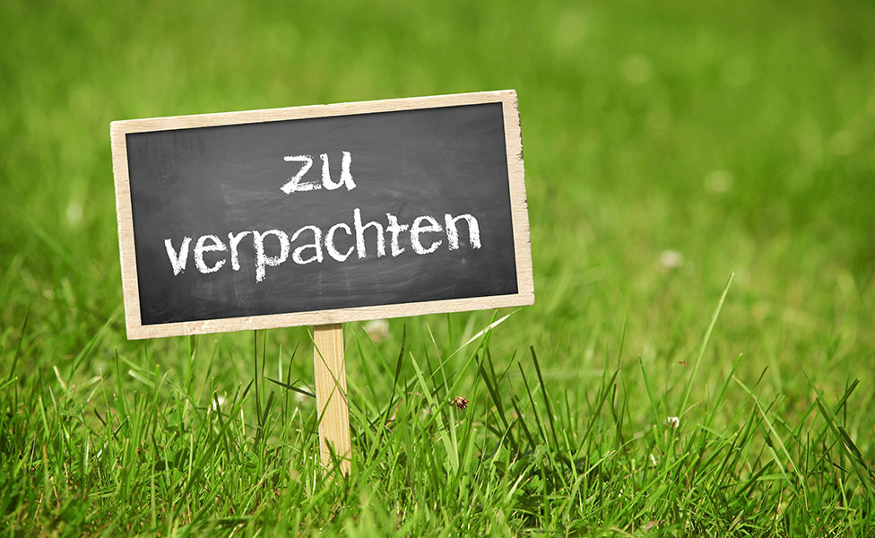Schild mit der Aufschrift Zu verpachten: Beitrag Miete vs. Pacht