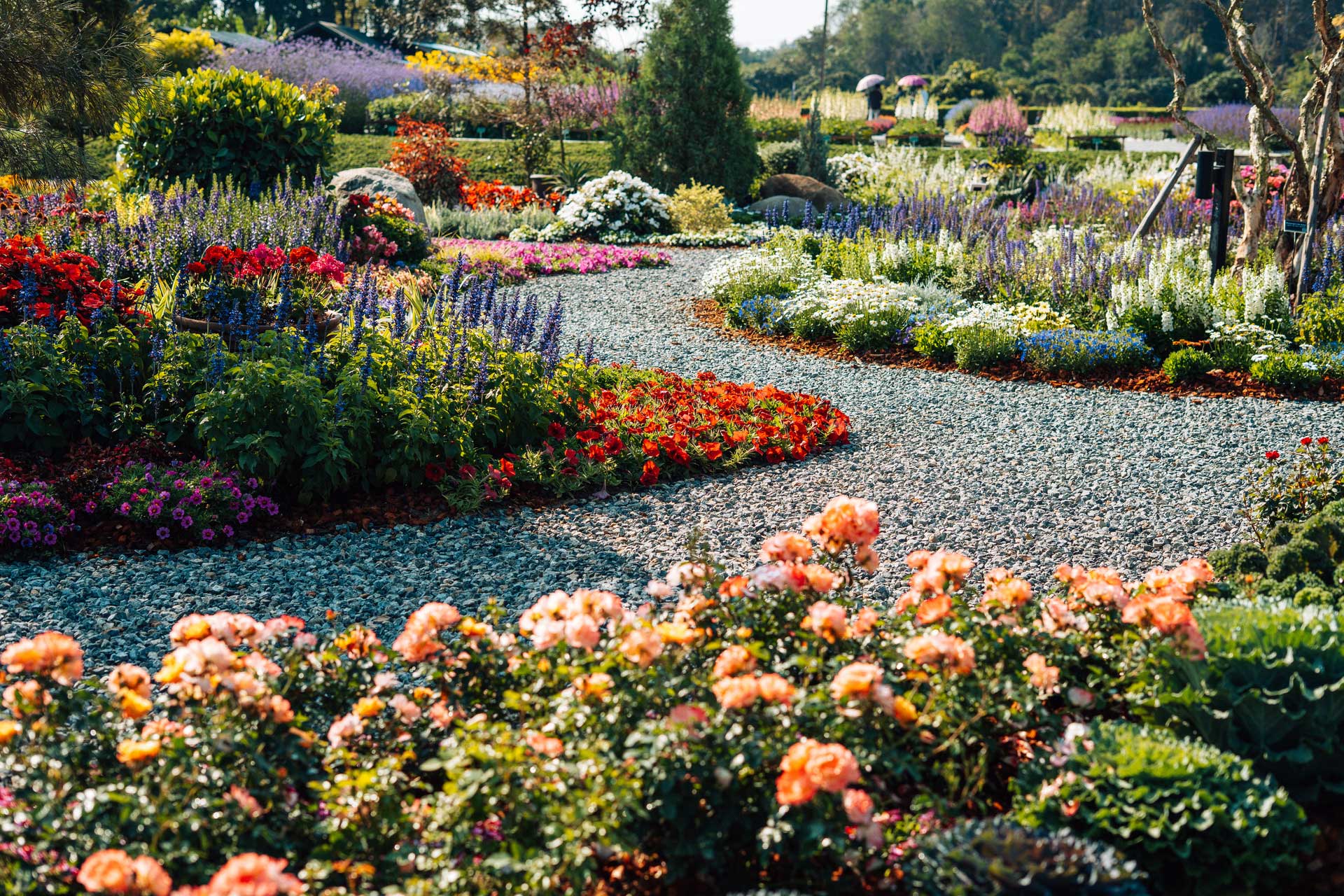 Weg in einem Garten umgeben von Blumen