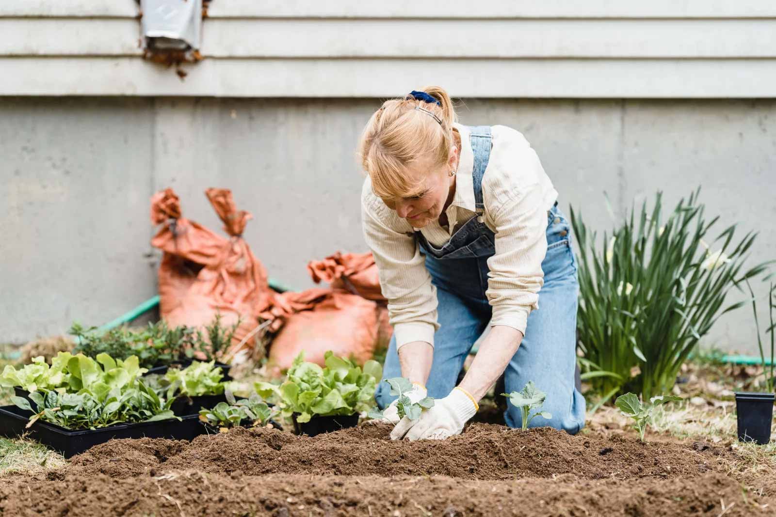 Frau pflanzt Setzlinge im Beet, Erde und Pflanzen im Hintergrund.