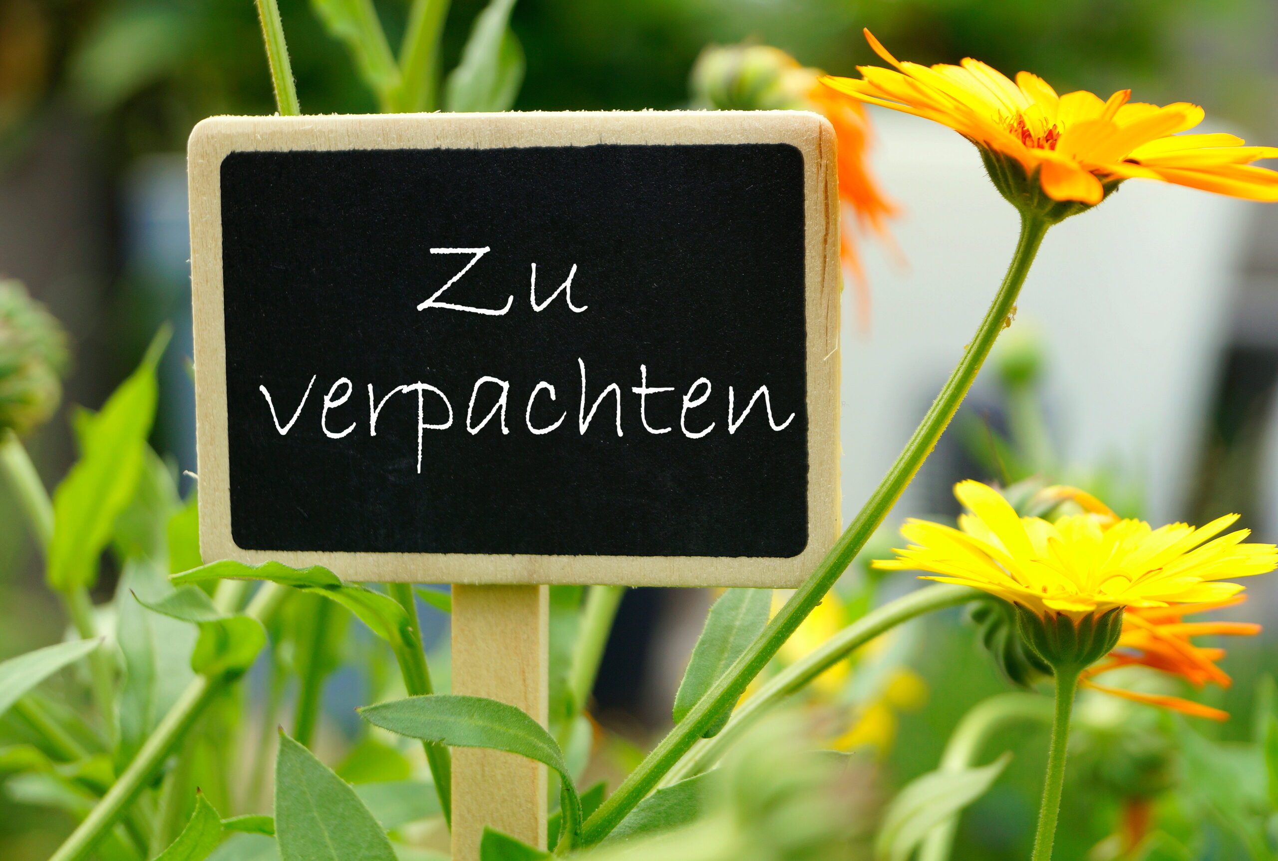 Schild: "zu verpachten"