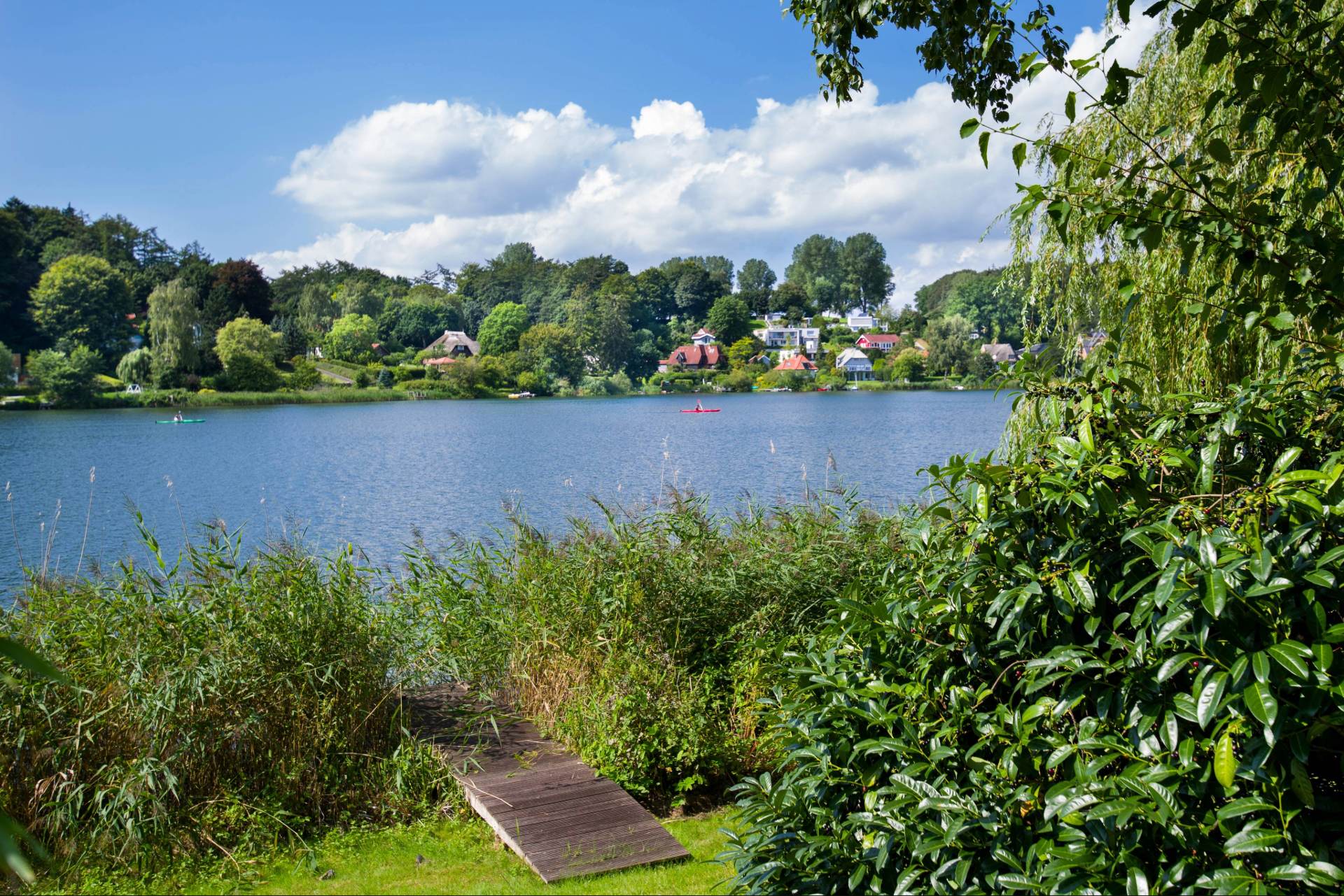 Kellersee bei Fissau Ostholstein Sommer