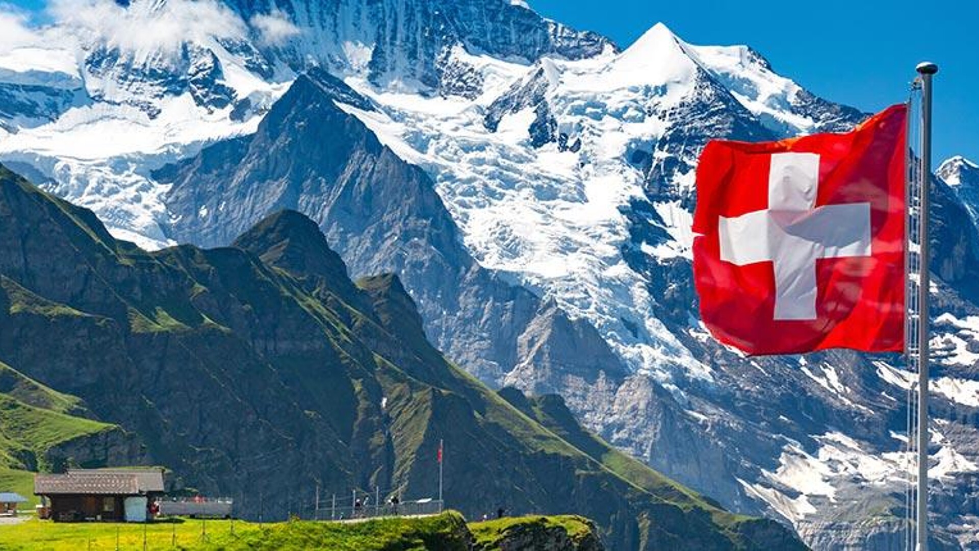 Schweizer Flagge vor schneebedeckten Alpen und grünen Bergwiesen.