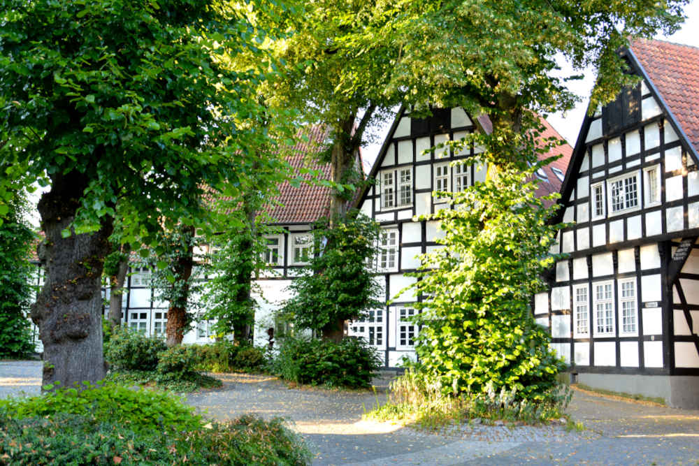 Historische Fachwerkhäuser im Herzen von Halle (Westfalen) oder Steinhagen.