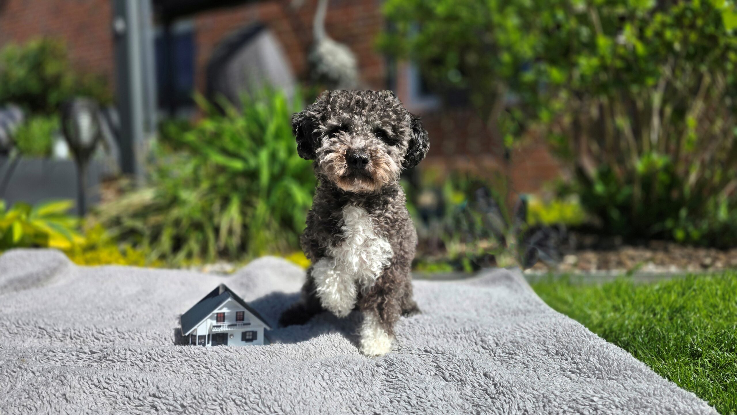 Team Mitarbeiter Woody