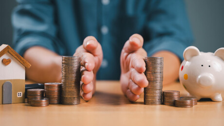 Geldmünzen und Sparschwein