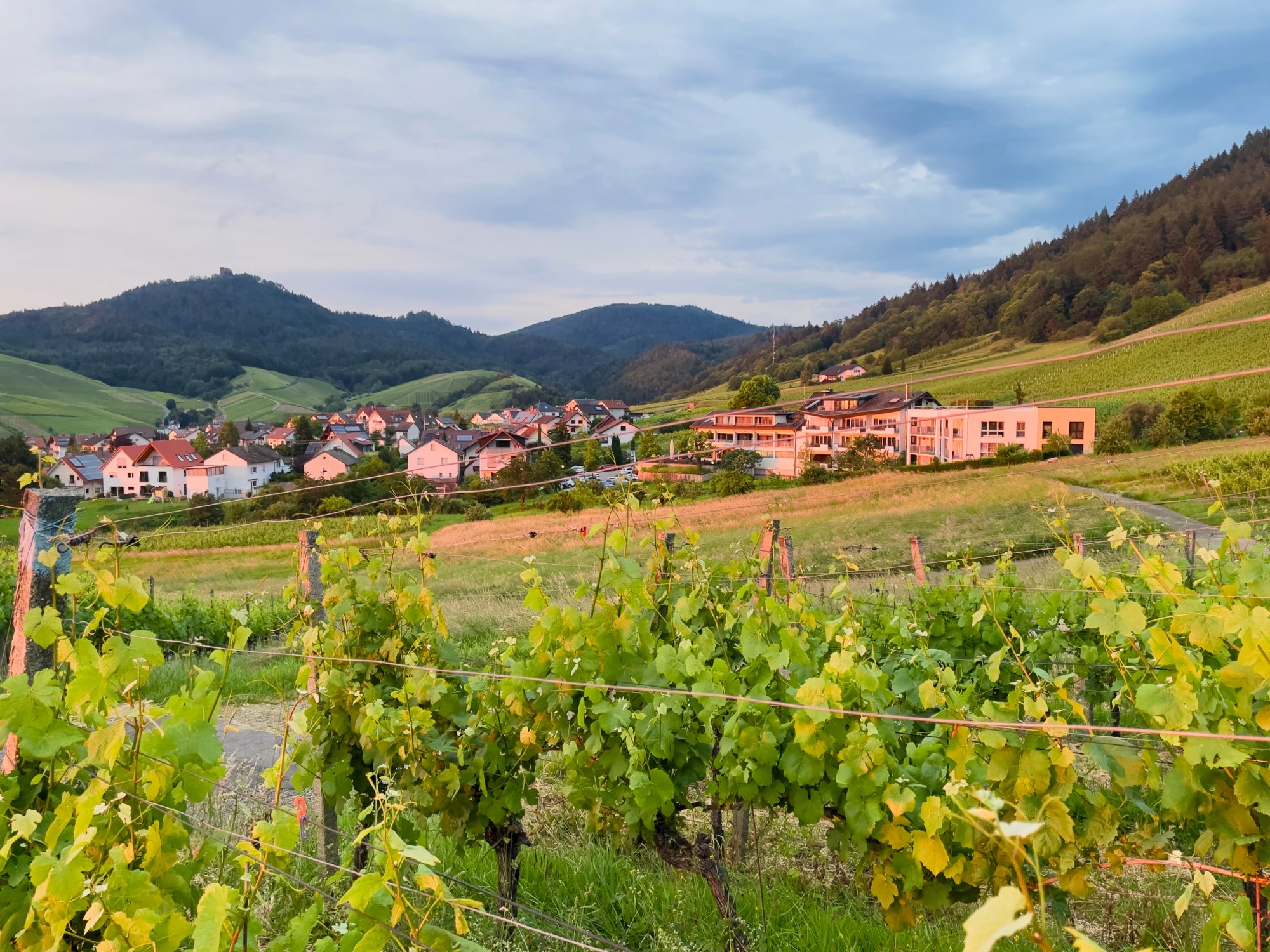 Neuweier in Baden-Baden