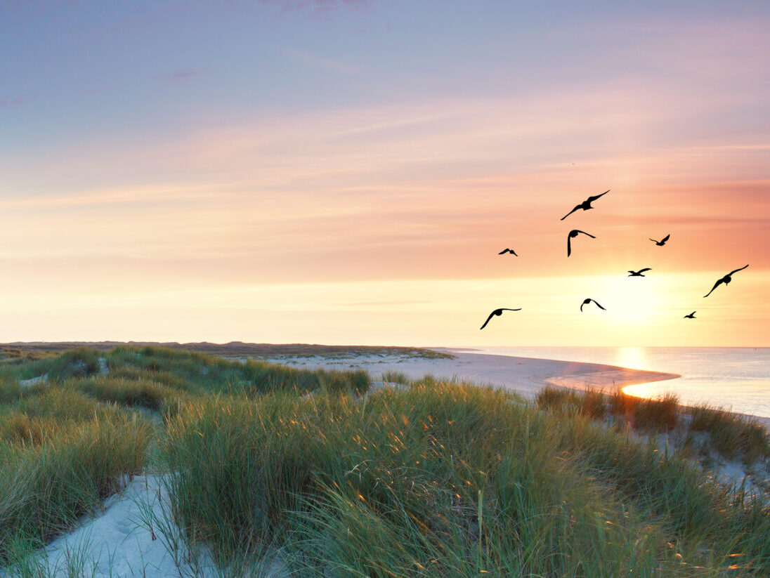 Blick auf die Nordsee
