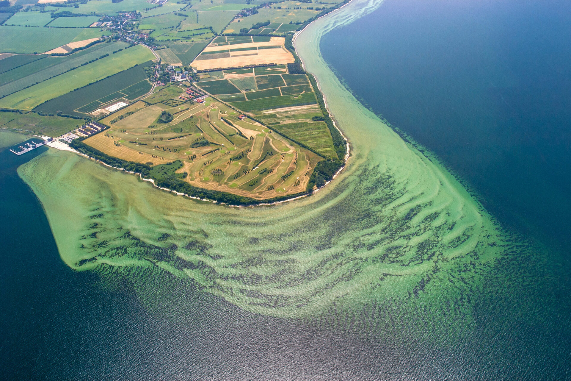Küstennase bei Hohen Wieschendorf, Ostsee