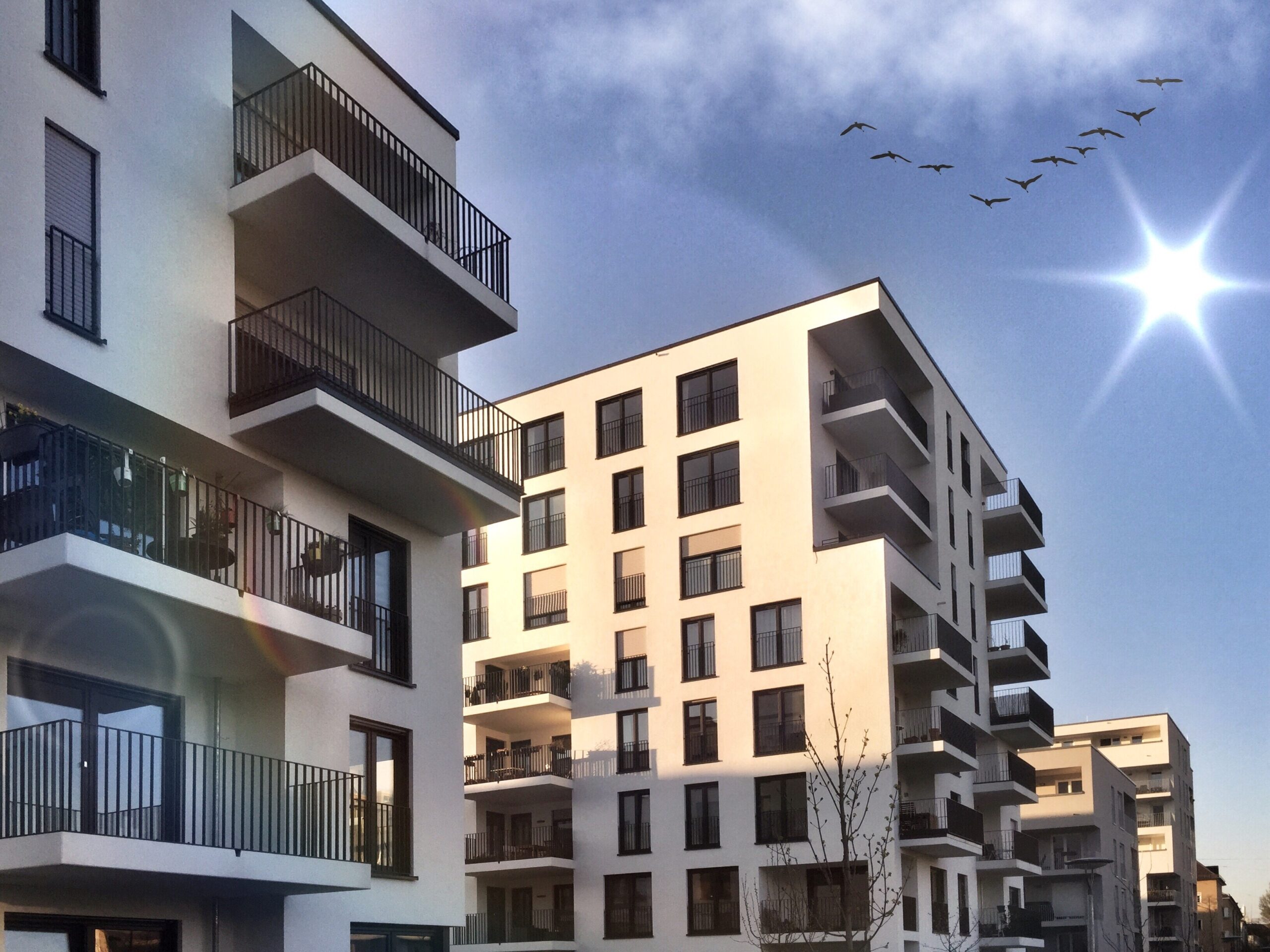 Neubau Wohnhaus in Deutschland