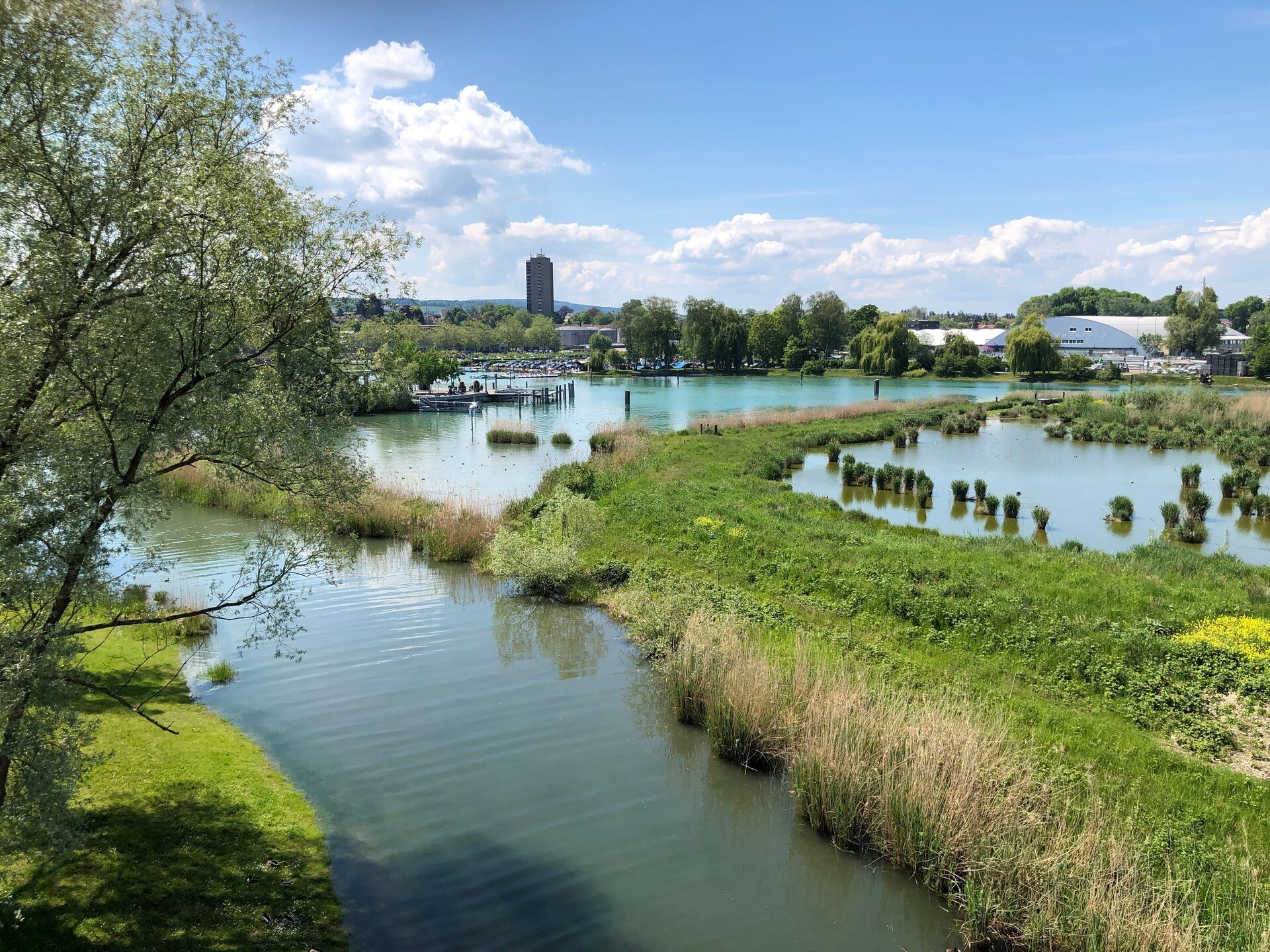 Blick auf die Wollschweininsel Thurgau
