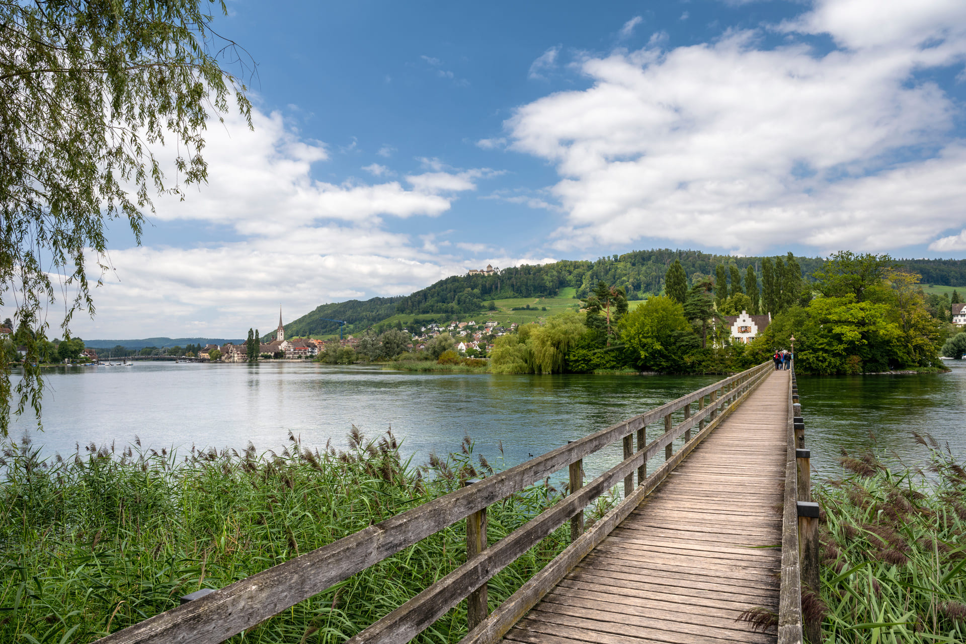 Holzbrücke über den Rhein zur Klosterinsel Werd mit Flusslandschaft und grüner Umgebung.