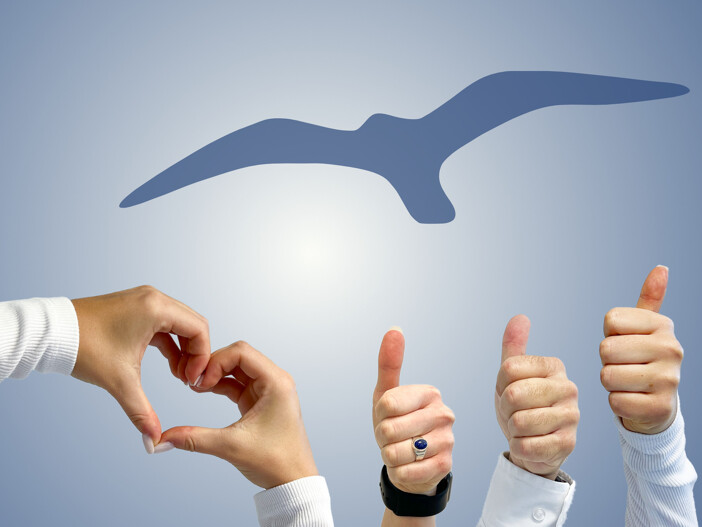 Referenzen Immobilienmakler Pforzheim