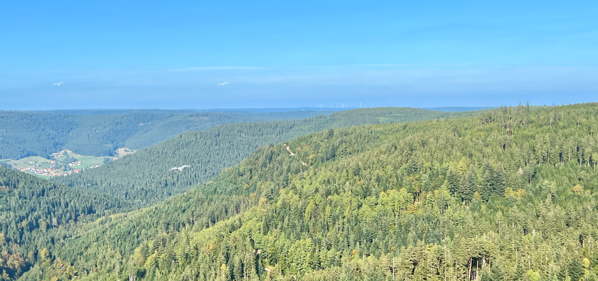 Qualitätsmakler in Pforzheim und dem Nordschwarzwald