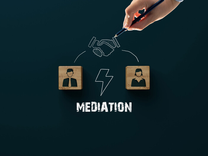 Würfel mit Personen-Icons und Schriftzug Mediation