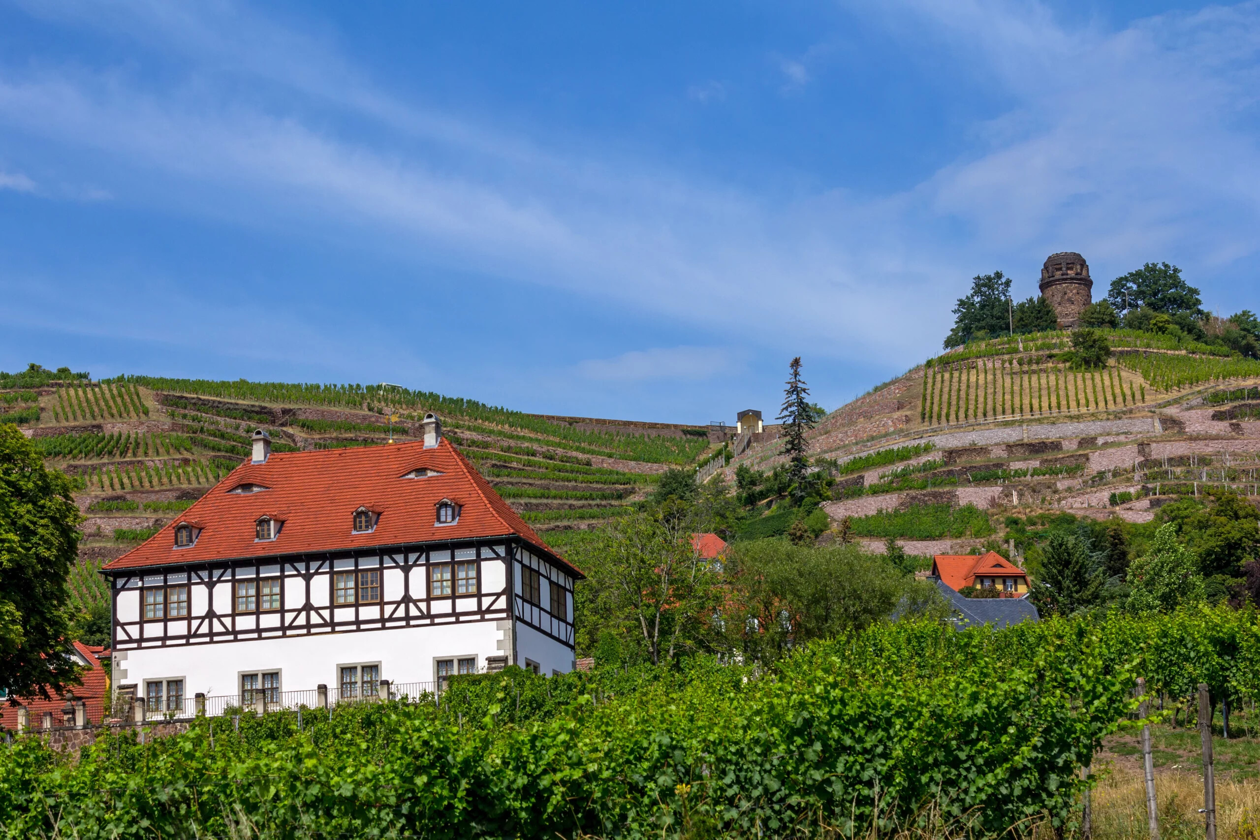 Weinberg mit Haus in Radebeul