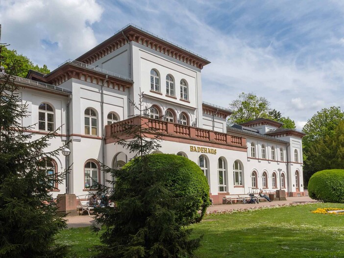 bad-soden-dornbusch-immobilien