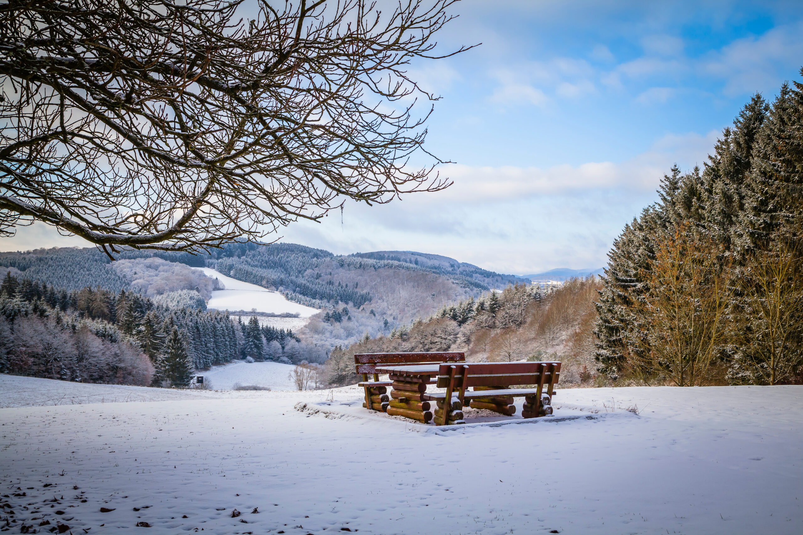 Houten bank kijkt uit over besneeuwd bos onder bewolkte hemel.