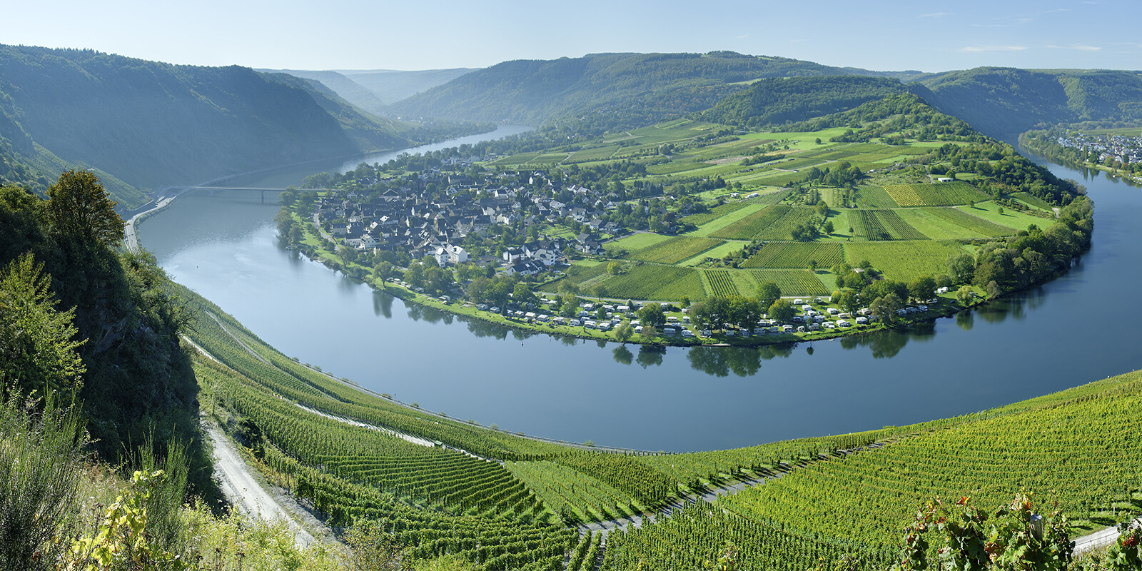 Fluss umgibt Dorf und Weinberge in grüner, hügeliger Landschaft.