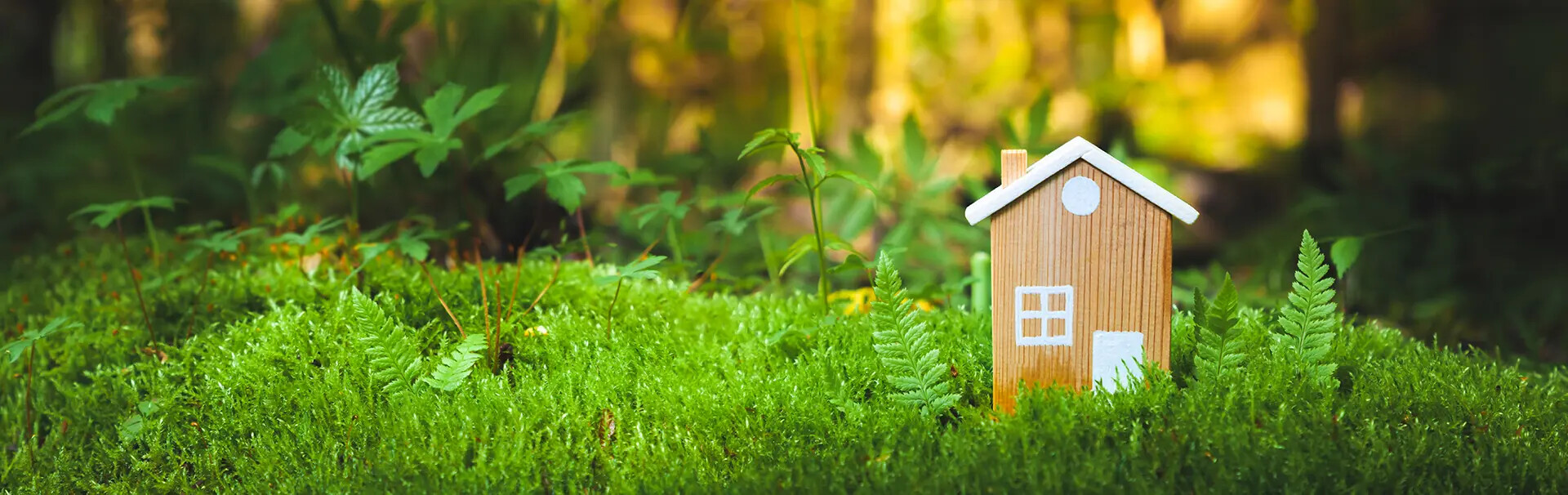 Kleines Holzhaus auf Moos im Wald