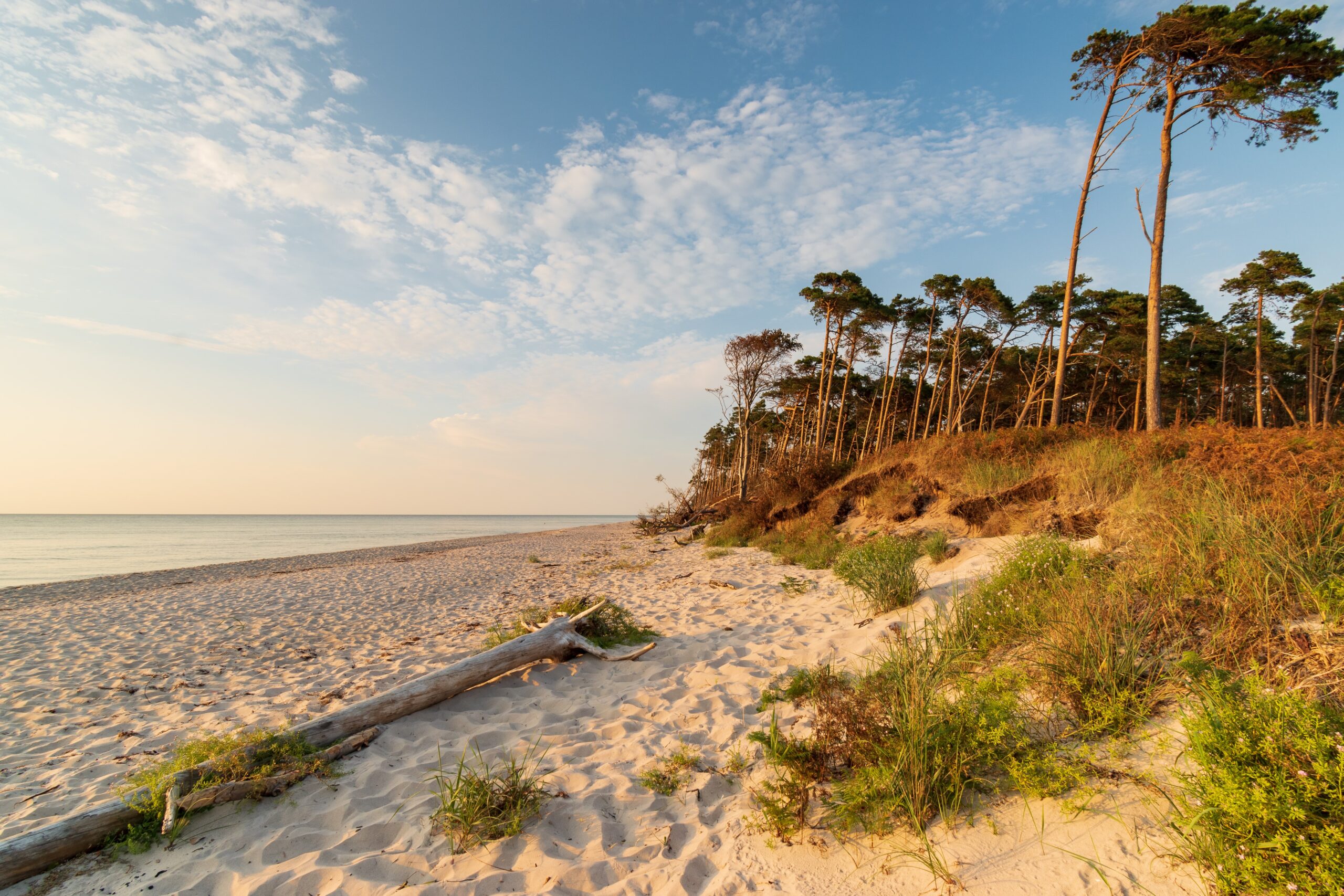 Weststrand Darß, Ostseeküste Deutschland