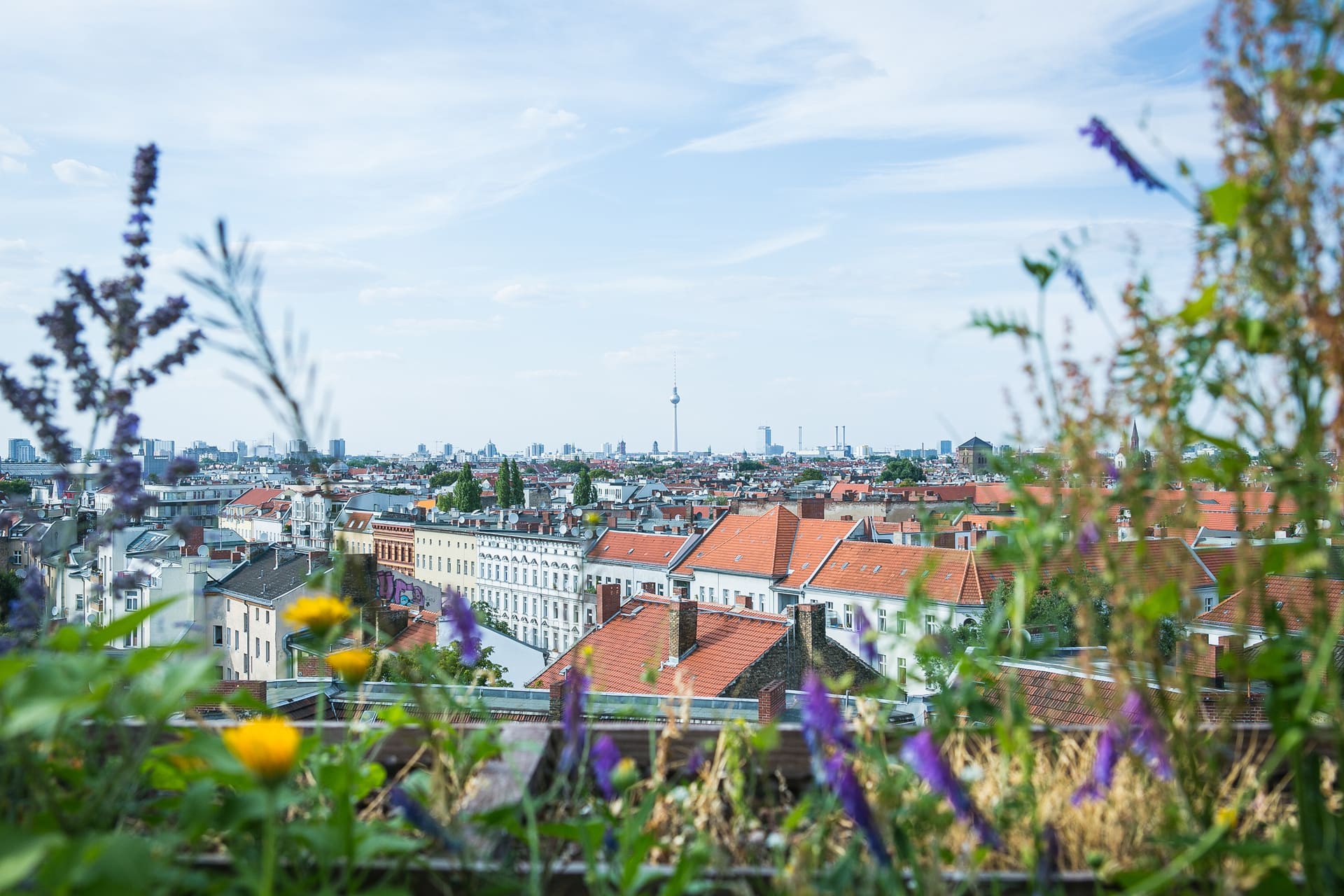 Panoramablick über die Dächer von Berlin-Neukölln mit Fernsehturm im Hintergrund.