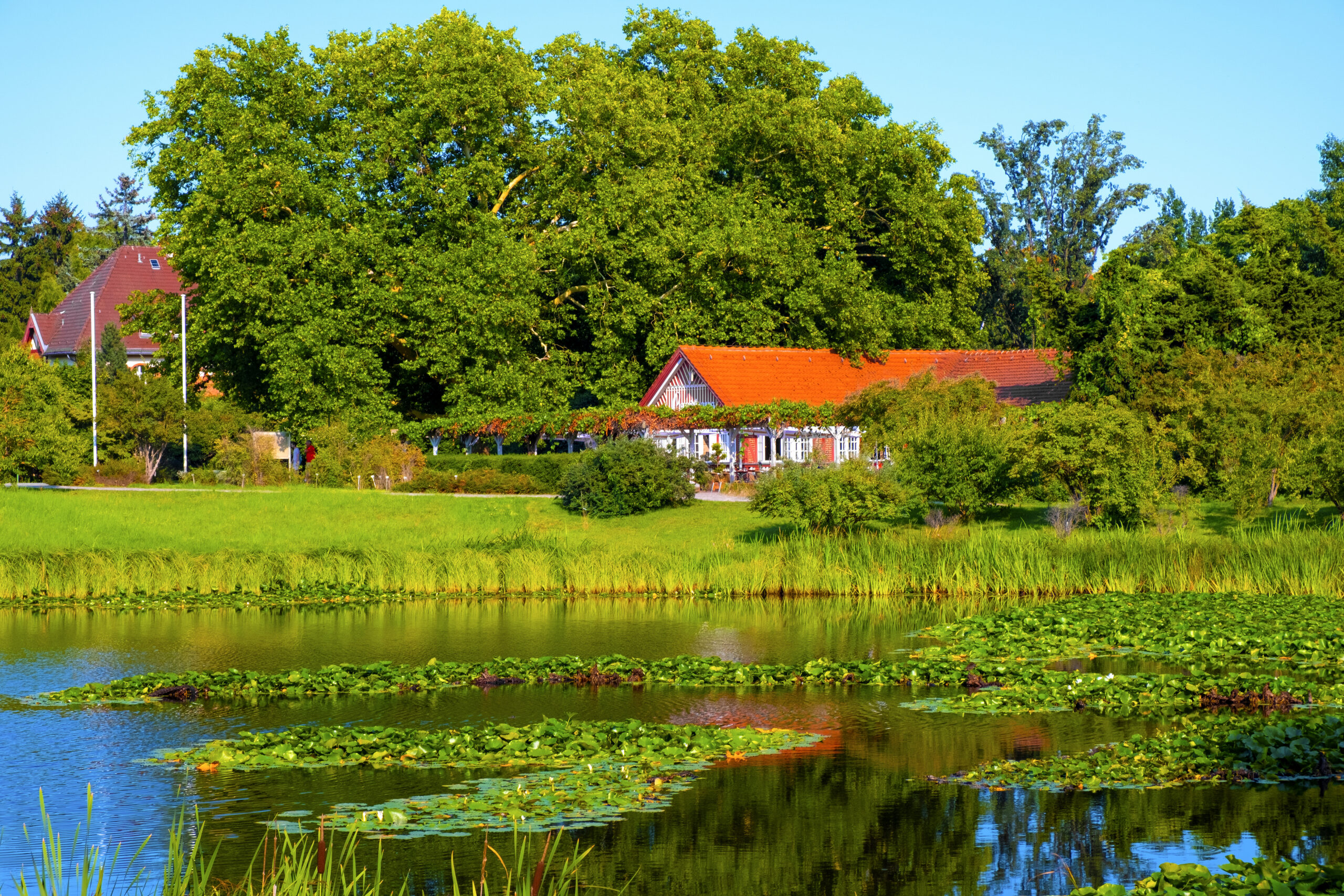 Botanischer Garten in Berlin Dahlem