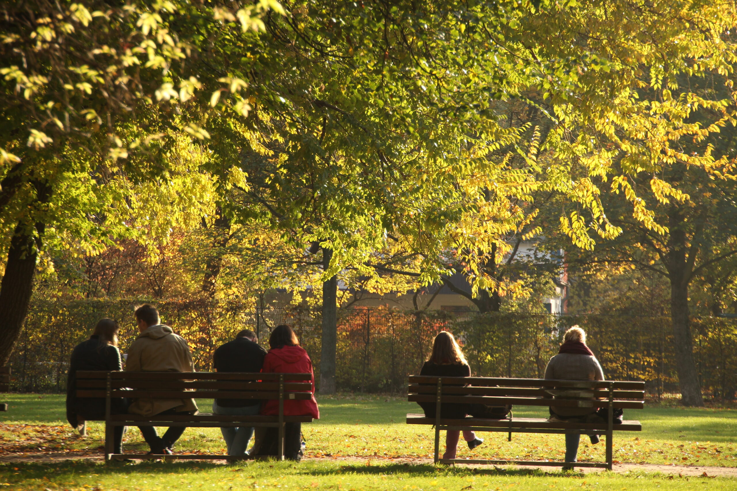 Menschen sitzen auf Parkbänken unter Bäumen