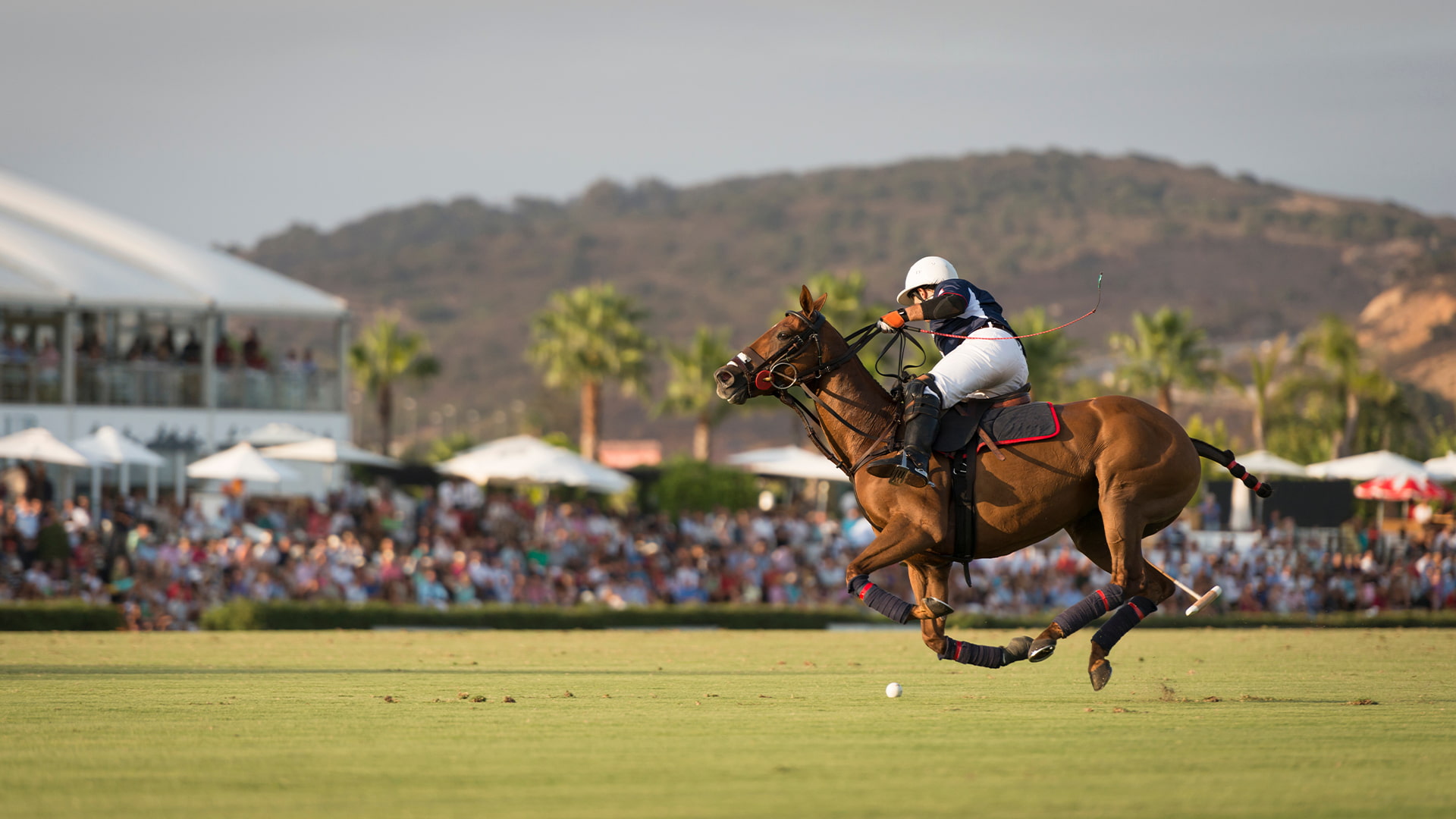 Polo-Spieler mit Zuschauern