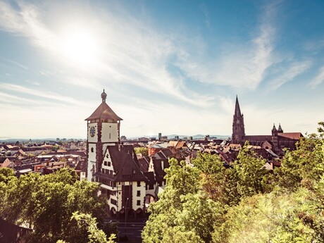 Blick auf Freiburg