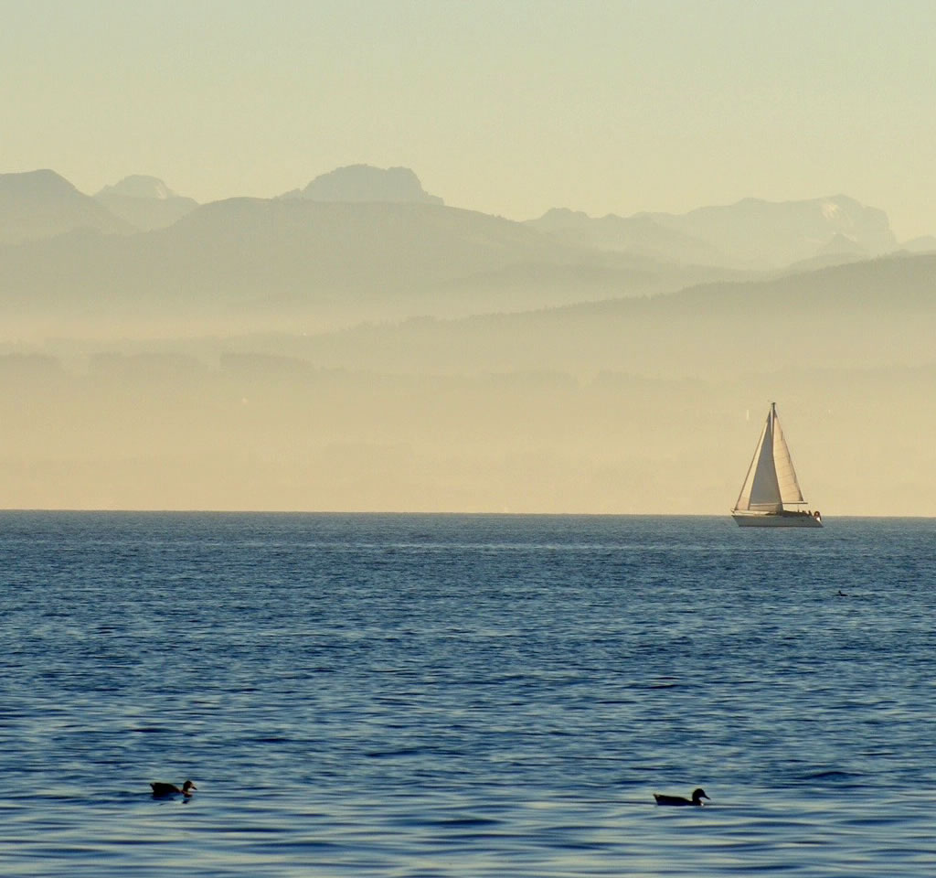 Bodensee mit Alpen im Hintergrund