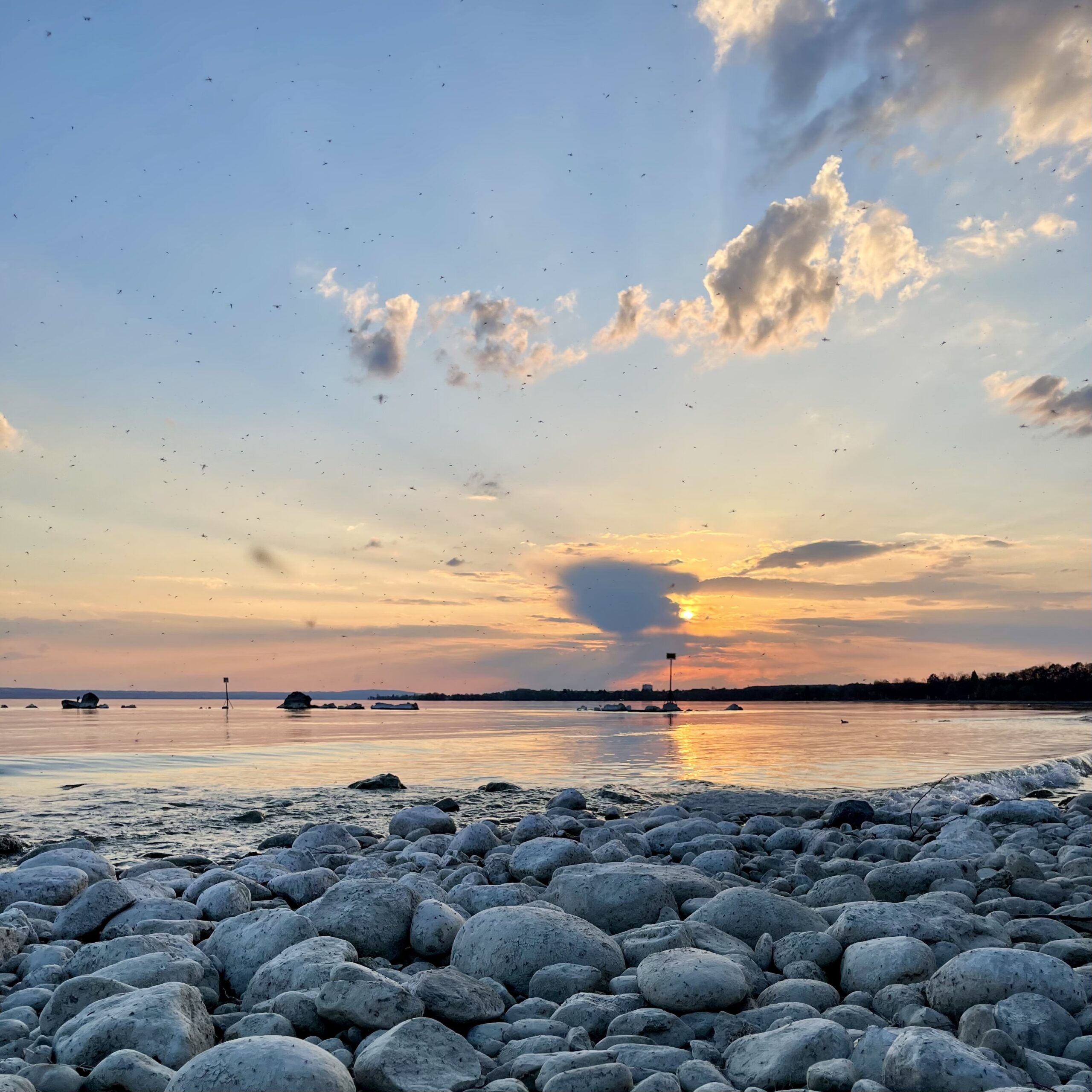Sonnenuntergang über dem Bodensee