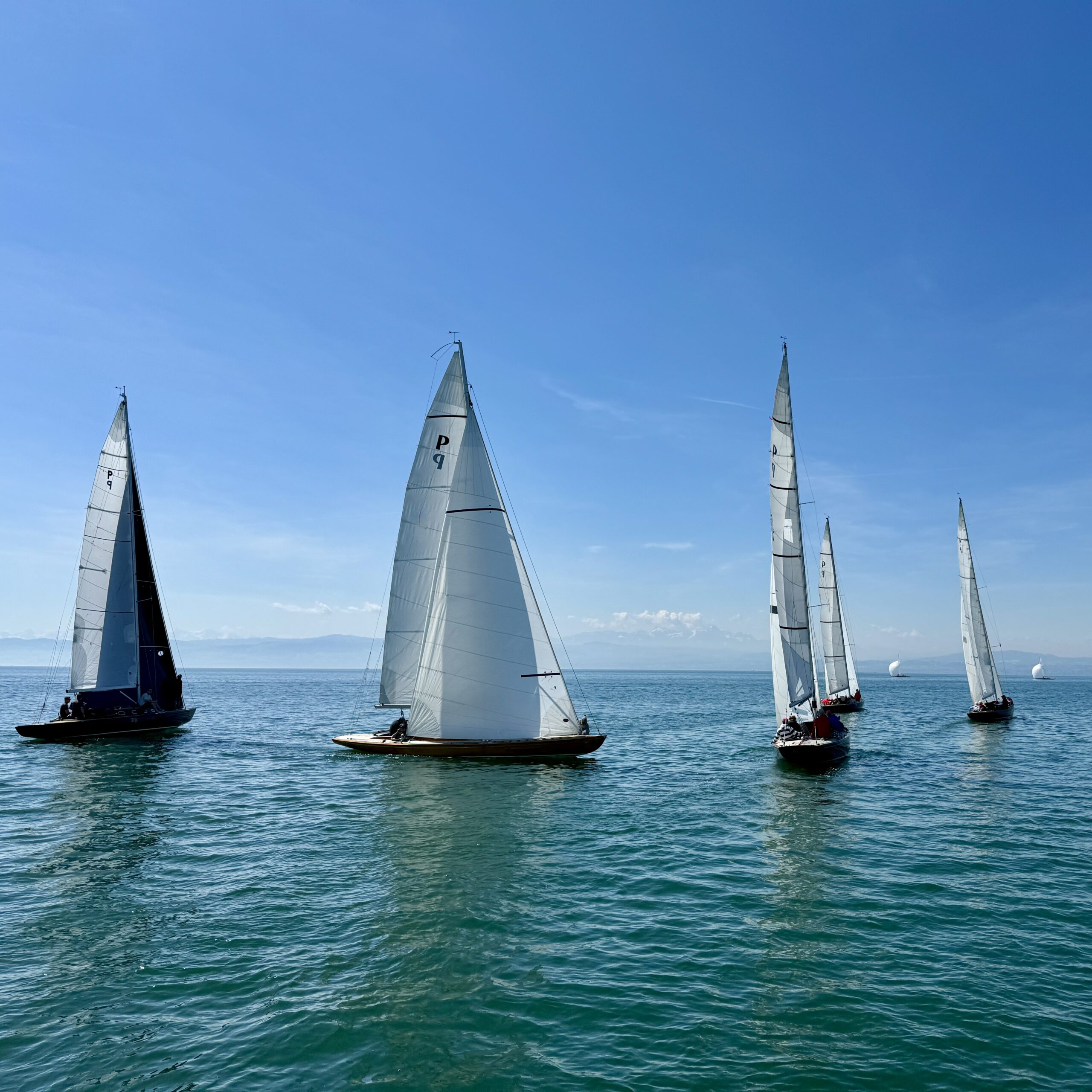 Segelboote in Friedrichshafen