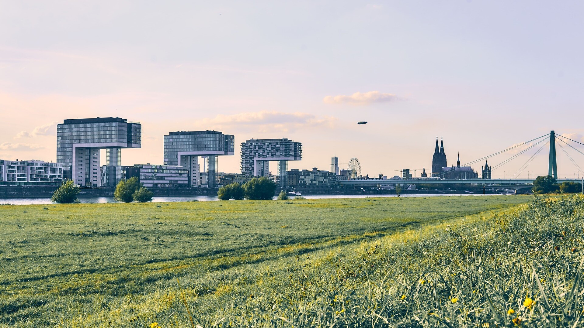 Blick auf Köln von den Poller Wiesen: Symbol für Immobilienpreise in Köln