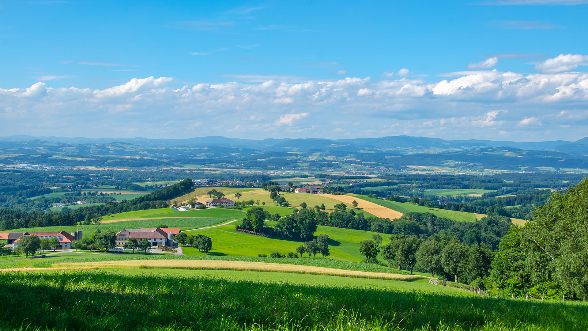 Grüne Hügel, Felder, Bauernhäuser und Berge unter blauem Himmel
