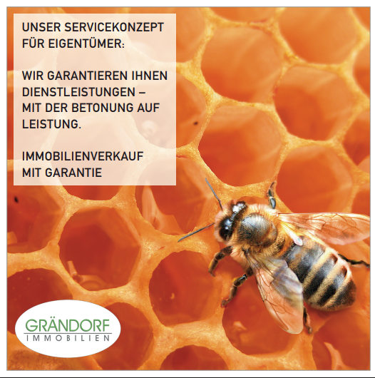 Honigbiene auf Wabe, deutscher Immobilientext, Grändorf-Logo.